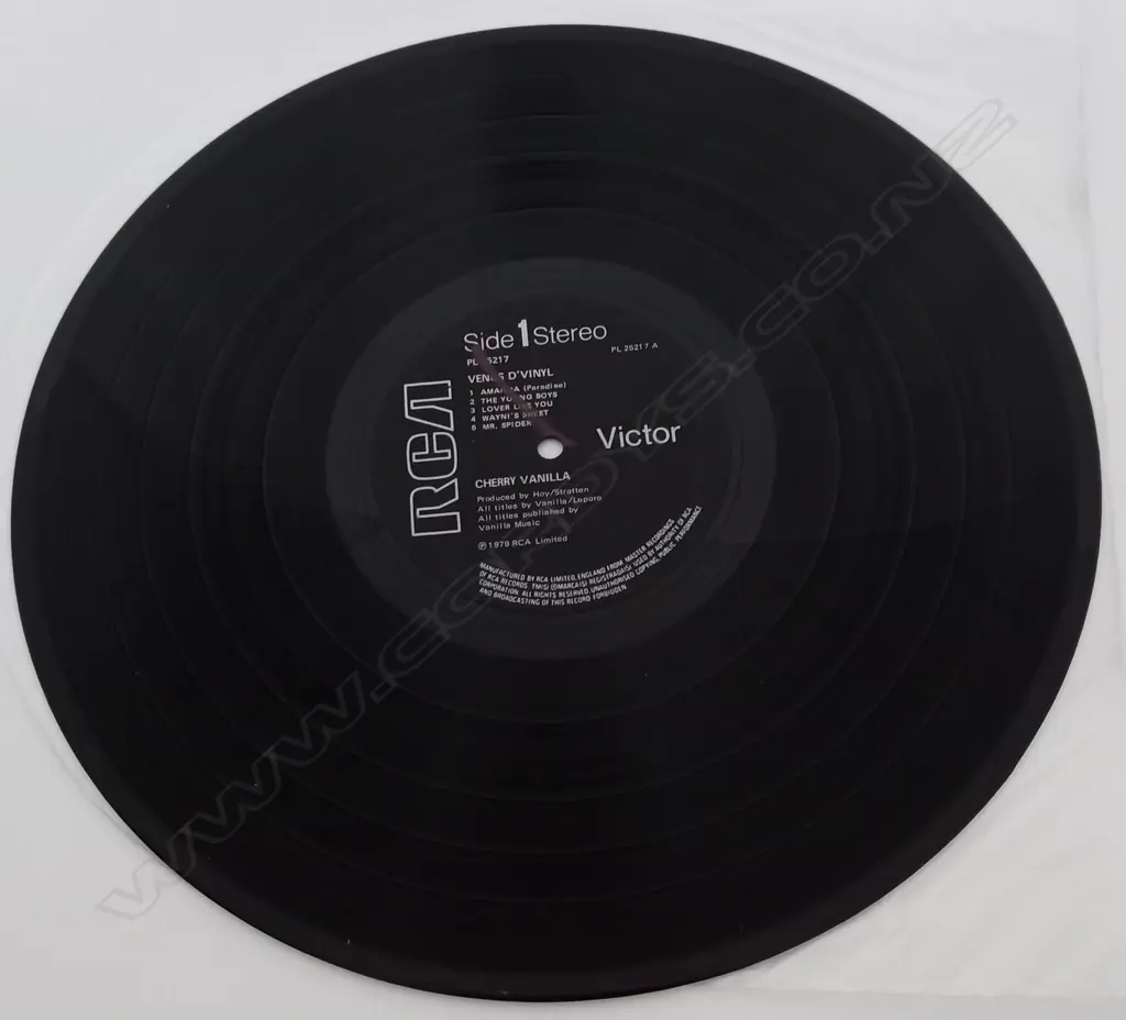 Cherry Vanilla, Venus D'Vinyl Image 1++